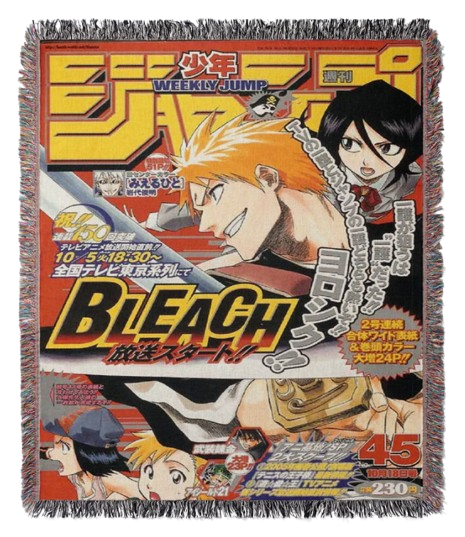 Bleach Cover #2